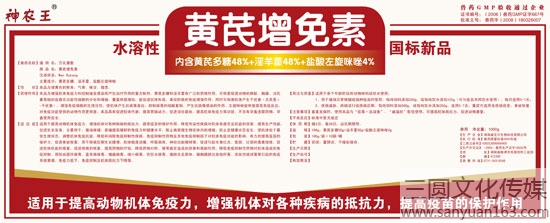 包裝設計展開圖